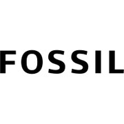 Découvrir Fossil